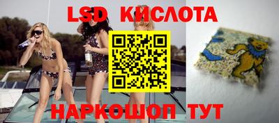 кокс Гатчина