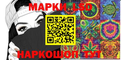 кокс Гатчина