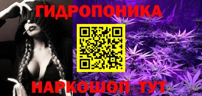 кокс Гатчина