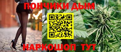 кокс Гатчина