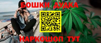 прущие грибы Гай