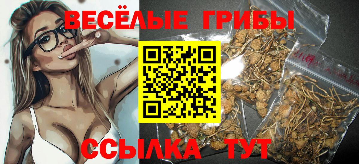 Галлюциногенные грибы GOLDEN TEACHER Мурманск